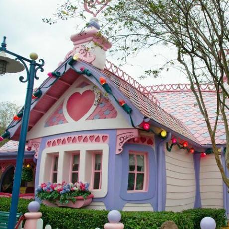 Minnie Mouse Haus