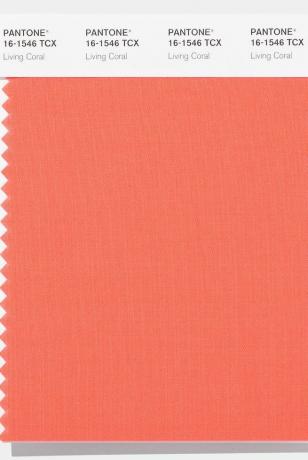 Pantone-Farbe des Jahres: 2000 – 2019