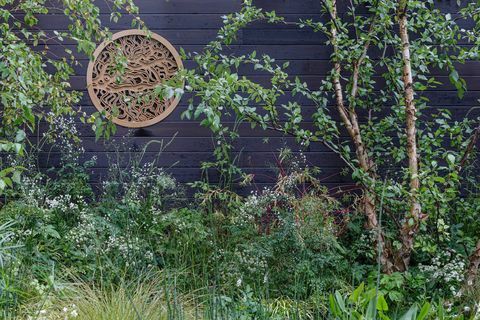 rhs chelsea flower show 2021 bester schaugarten guangzhou china, guangzhou garden designed by peter chmiel with chin jung chenjpg