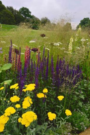 RHS Chatsworth Flower Show - Blumenränder