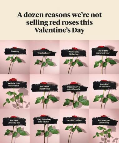 blühen wilde Valentinstag Kampagne