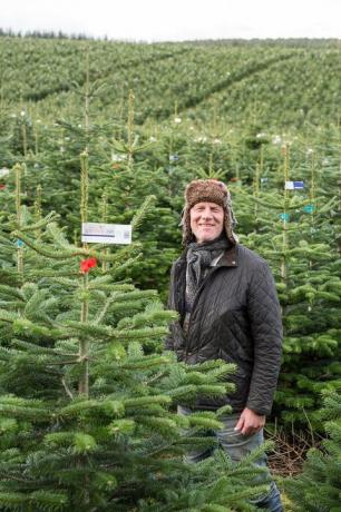 Waitrose-Weihnachtsbäume werden auf der Black Isle in der Nähe von Inverness von Kjeld Kristensen (Bild) und über 130 seiner Kollegen gezüchtet